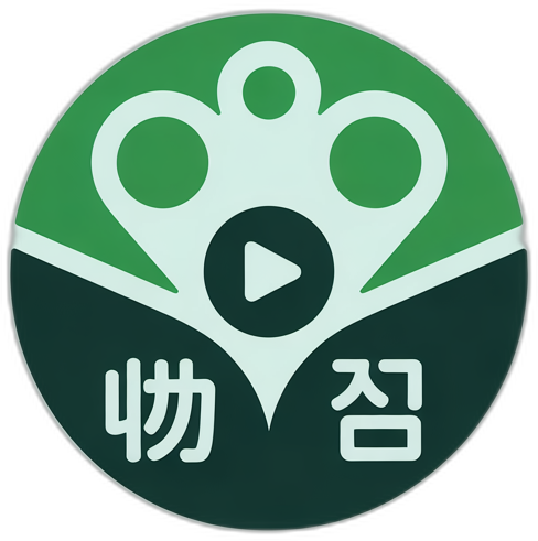 天空视频品牌Logo图标